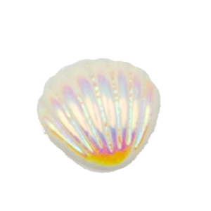 Electroplated colorful seashells