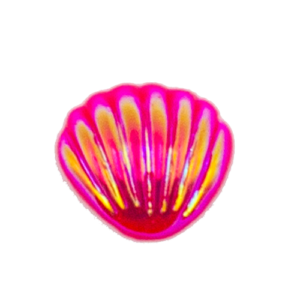 Electroplated colorful seashells