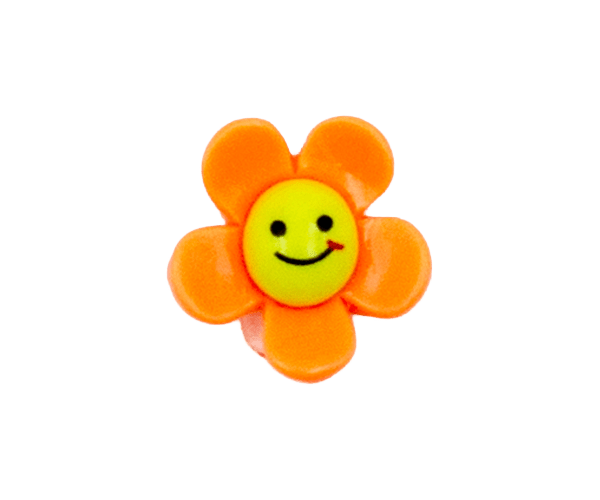 smiling face flowers Orange