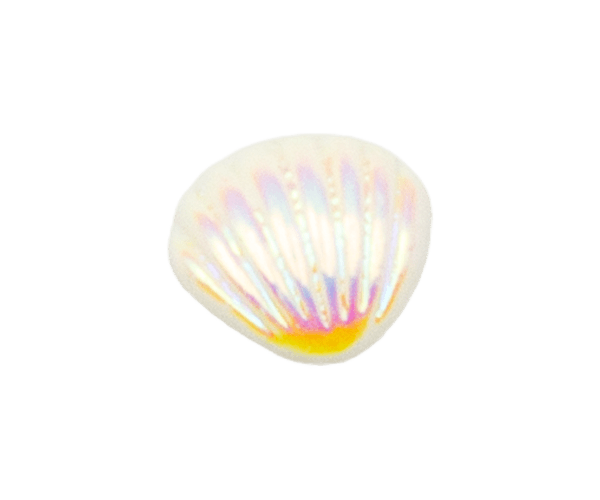 Electroplated colorful seashells