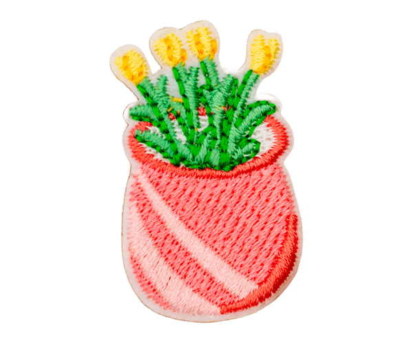 potted plant